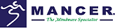 Mancer Consulting